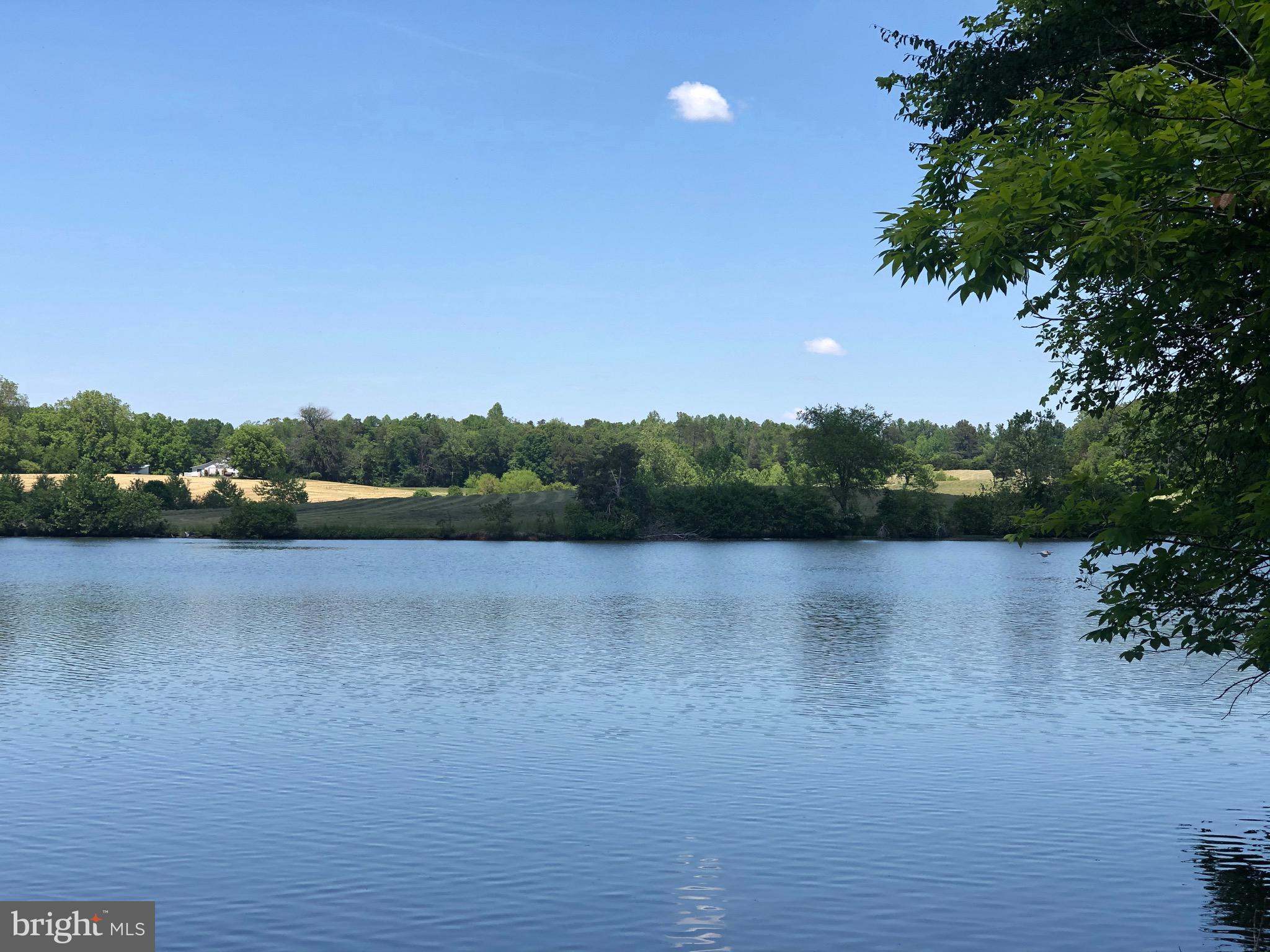 RUNNEYMEDE - Residential