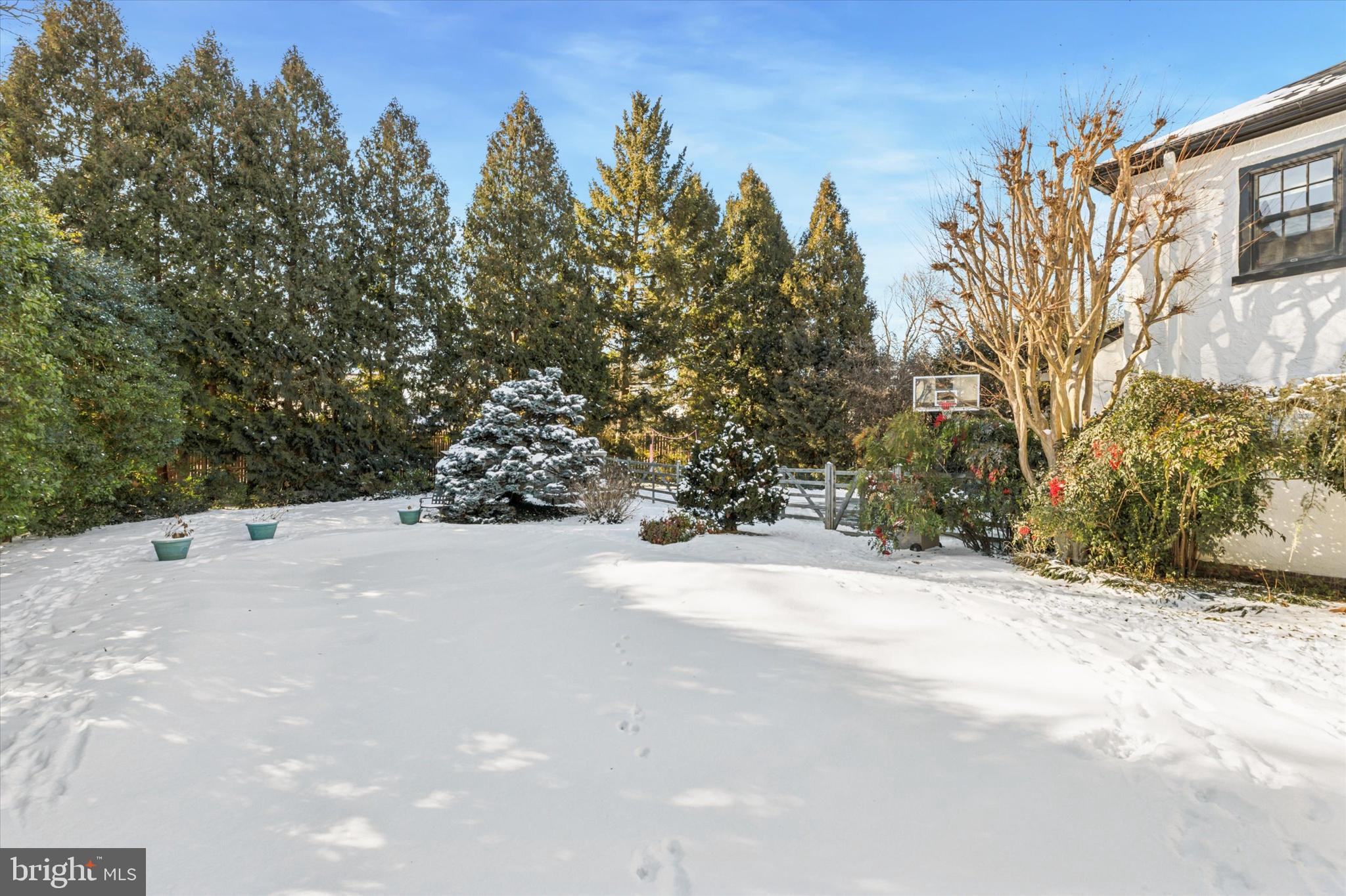 BRYN MAWR - Residential