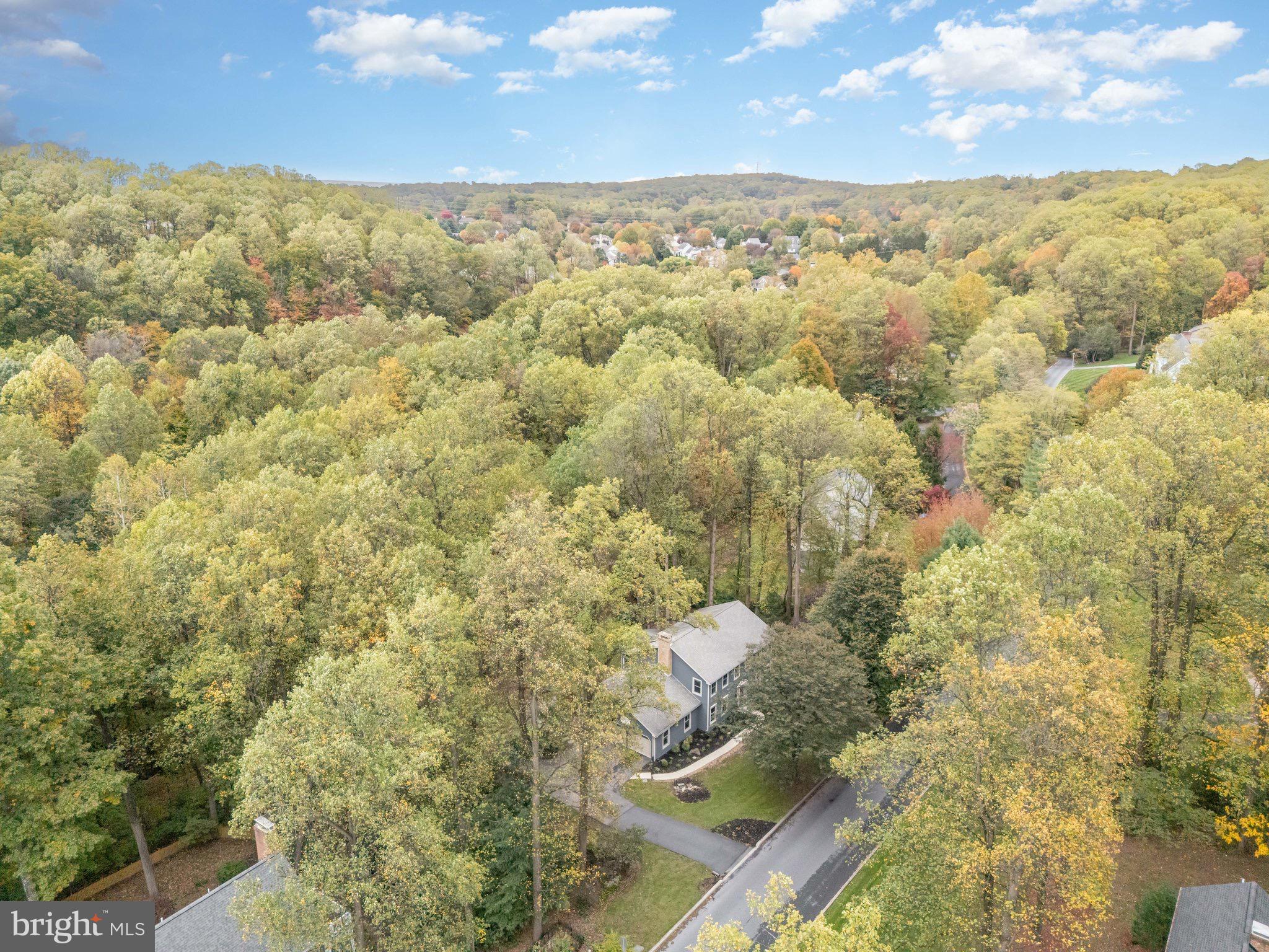 WALTON SPRING HILLS - Residential