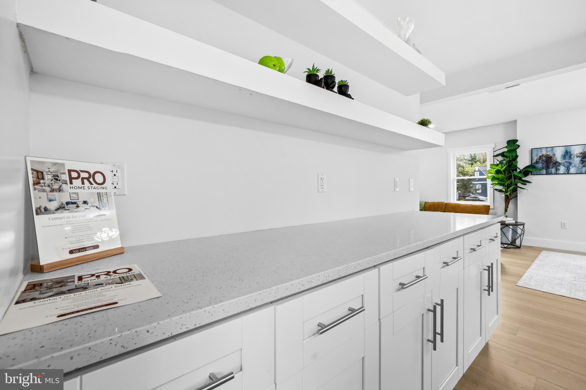 WASHINGTON SUBURBAN HOME - Residential