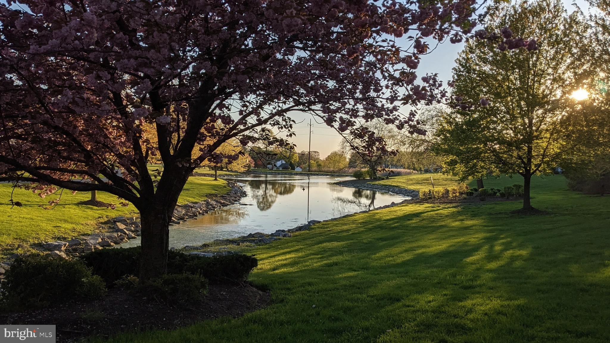 KISSEL HILL COMMONS - Residential