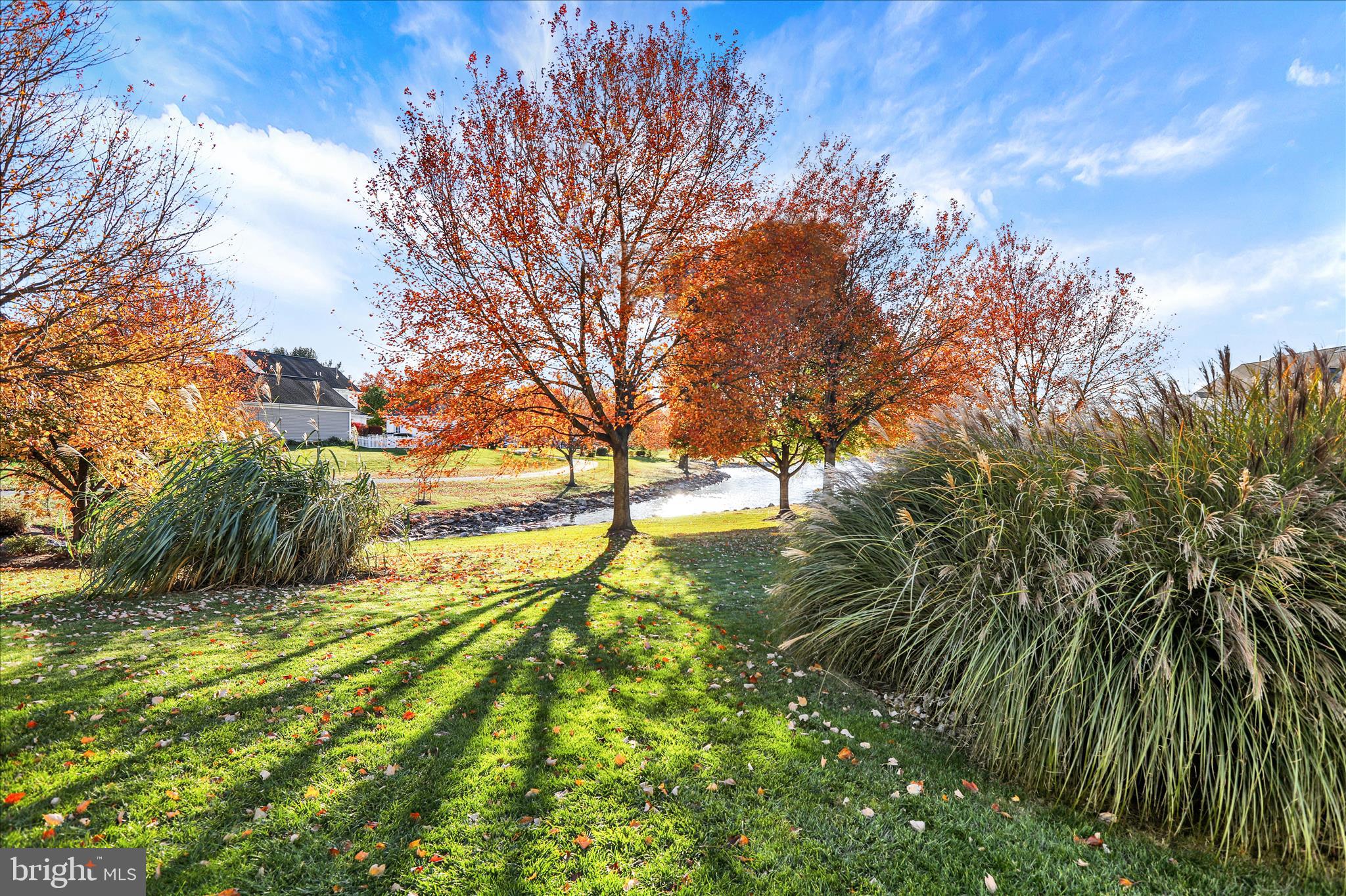 KISSEL HILL COMMONS - Residential