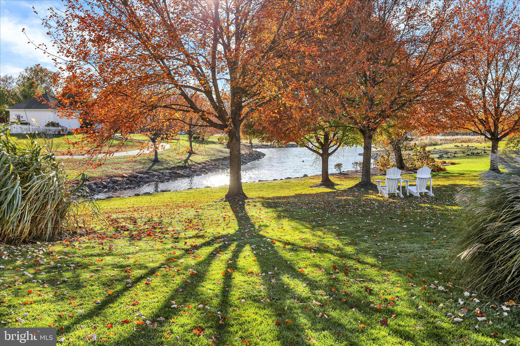 KISSEL HILL COMMONS - Residential