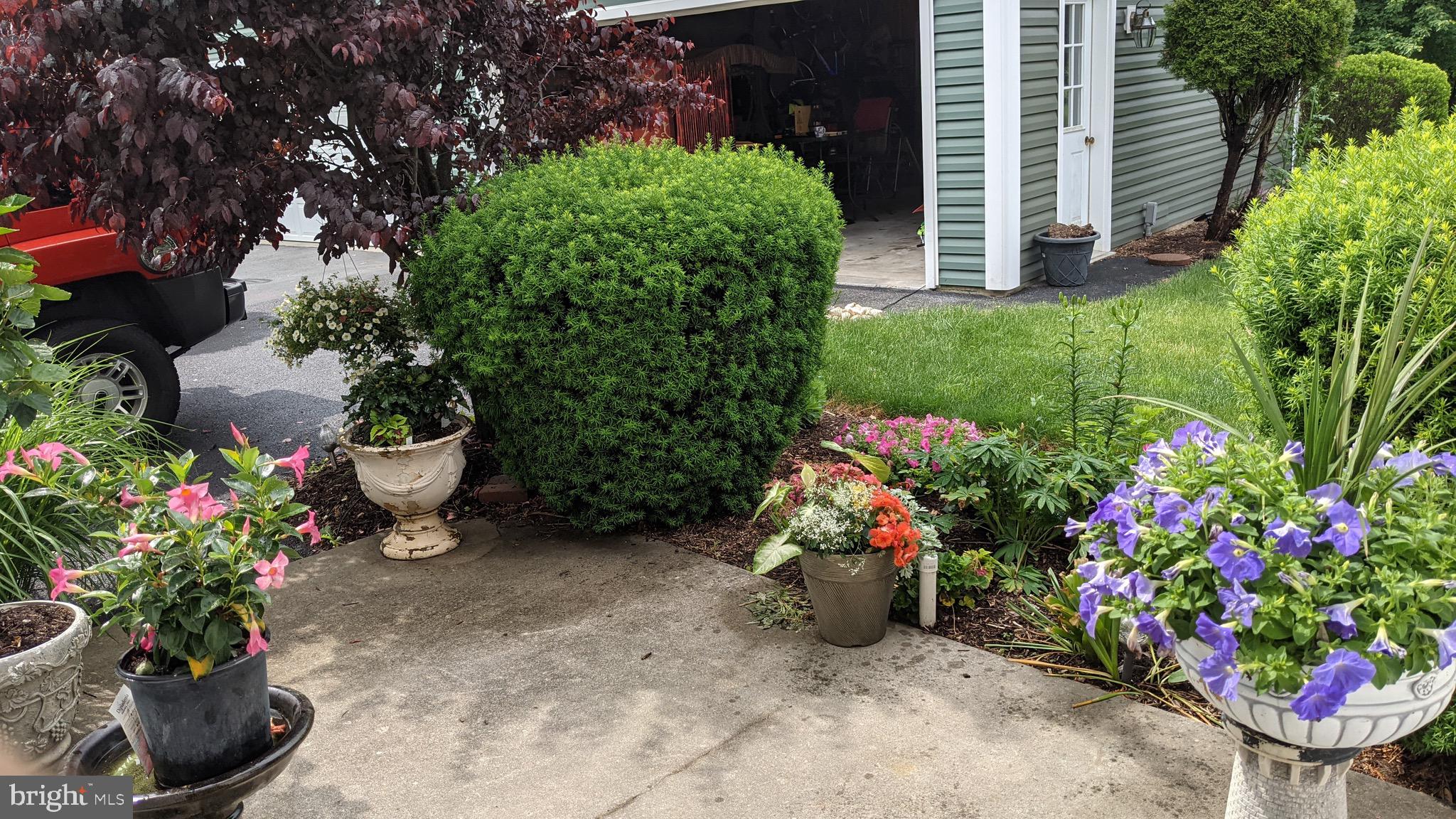 KISSEL HILL COMMONS - Residential