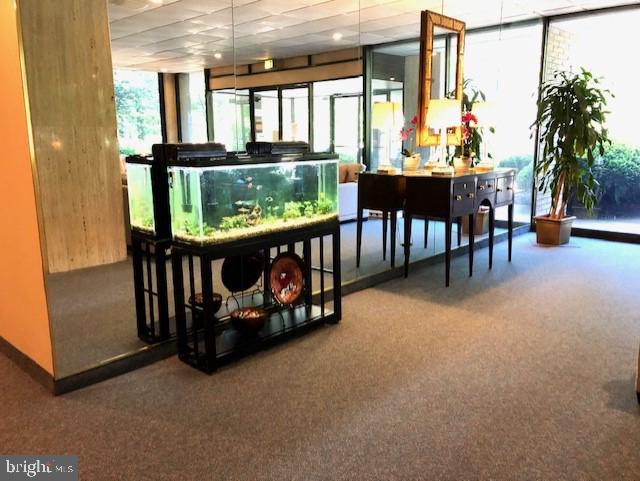 ROLAND PARK - Residential