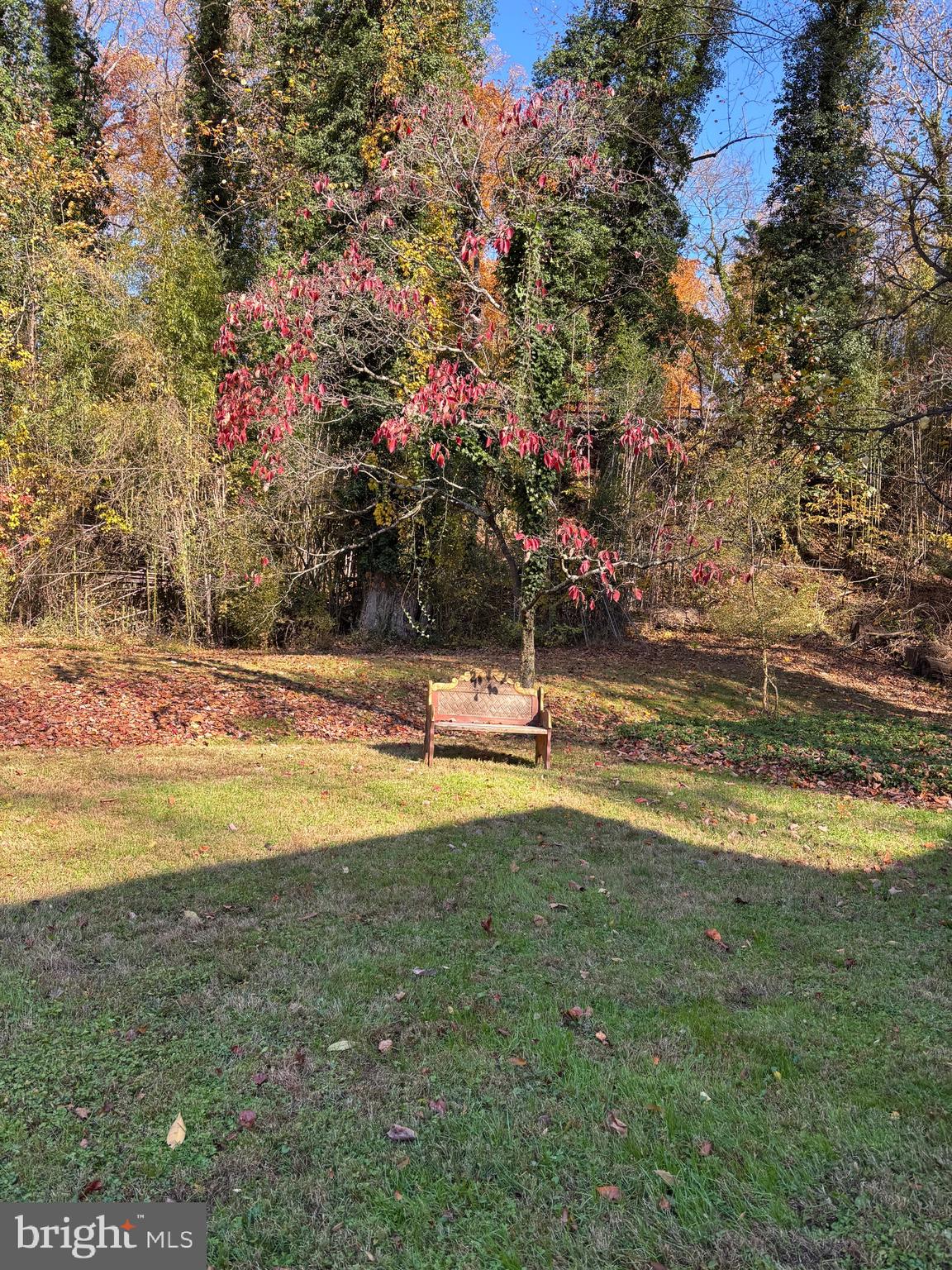 WINCHESTER ESTATES - Residential