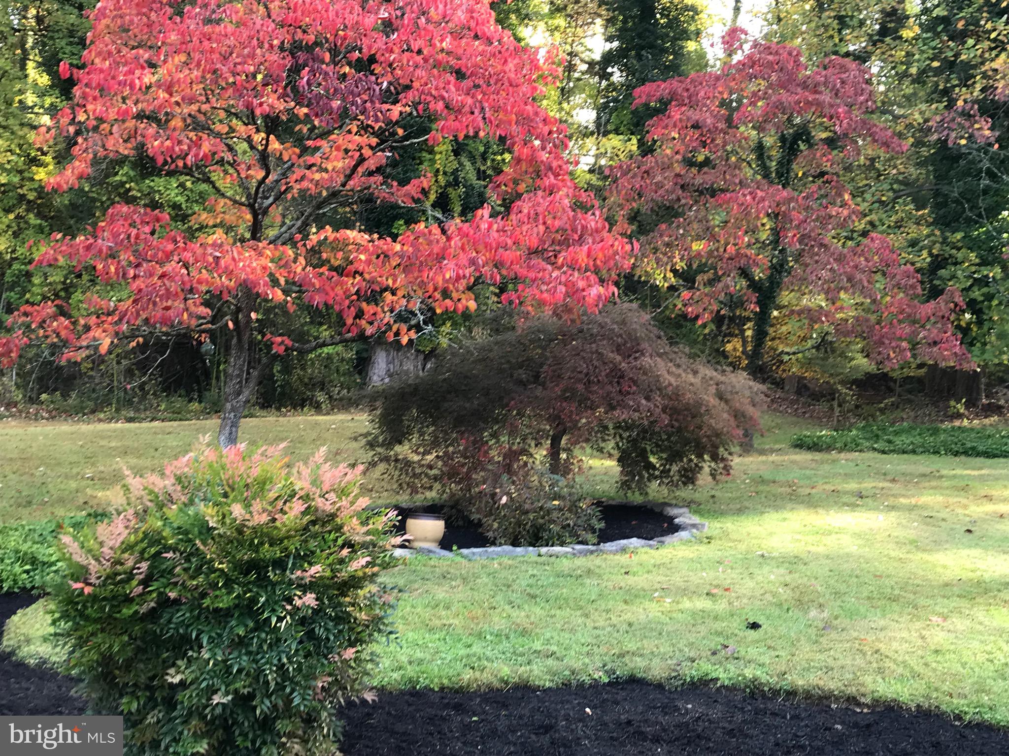 WINCHESTER ESTATES - Residential