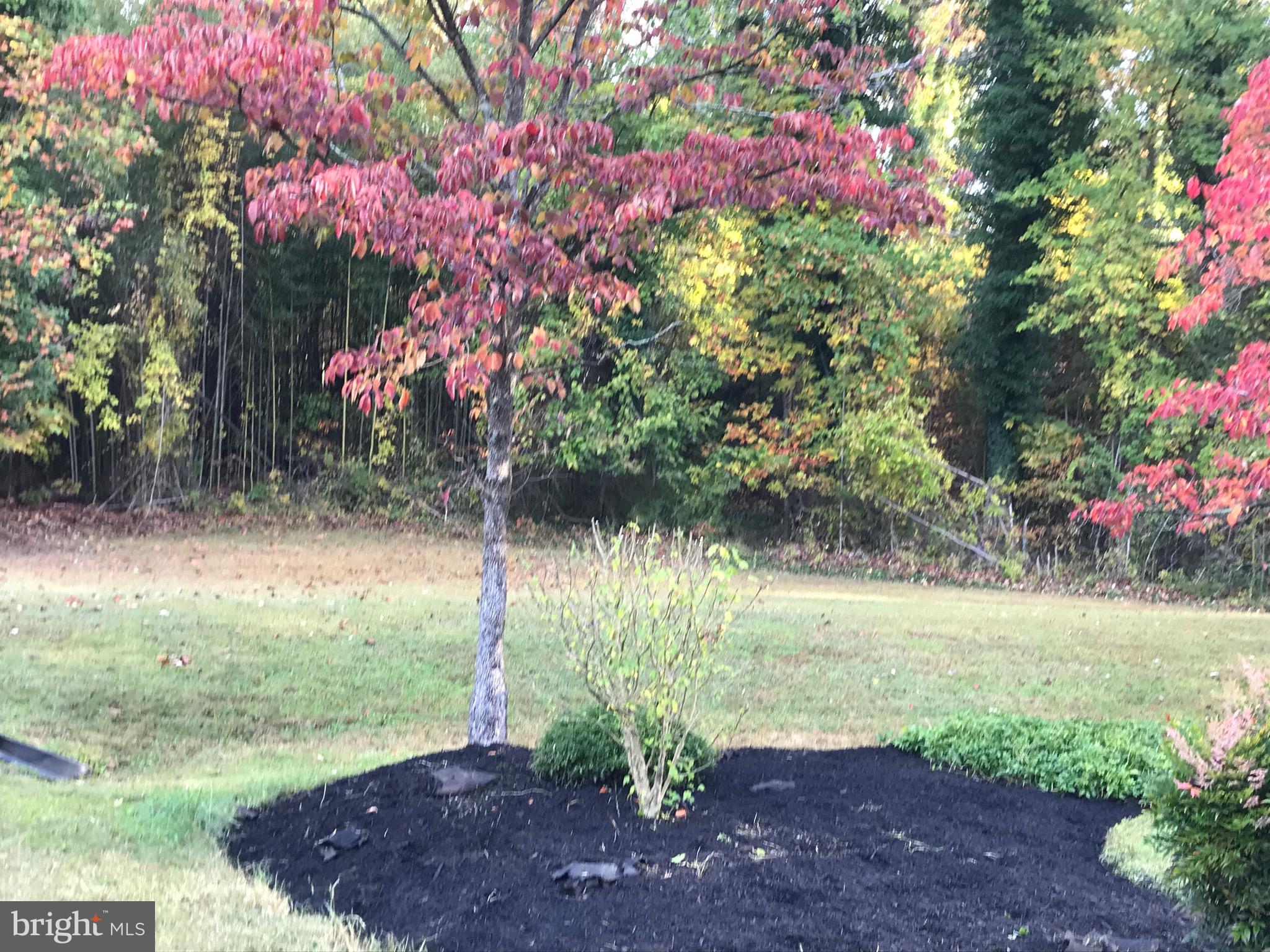 WINCHESTER ESTATES - Residential