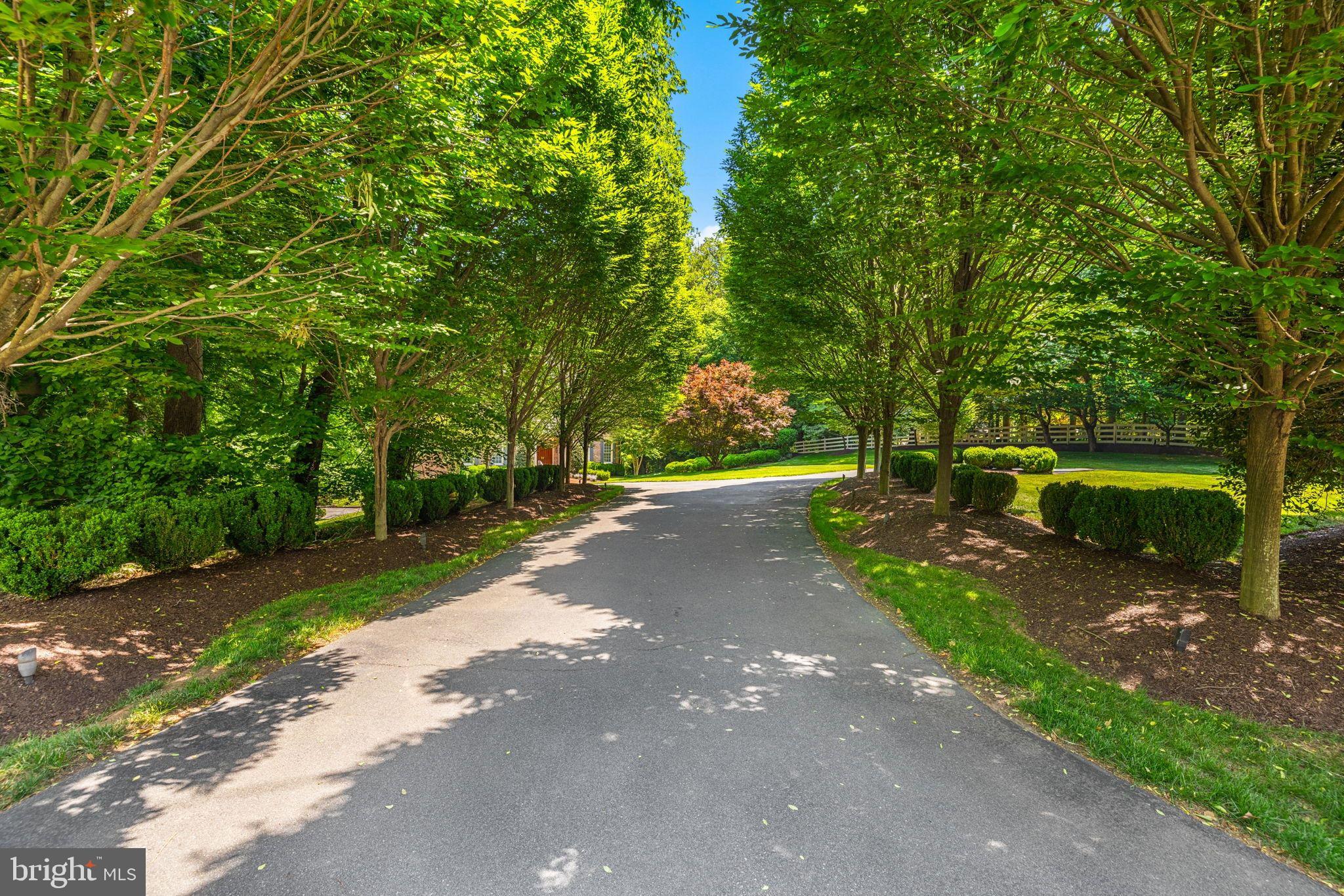 8558 GEORGETOWN PIKE