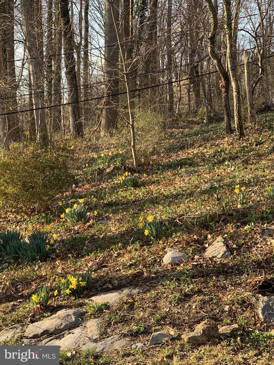 BRANDYWOOD - Residential