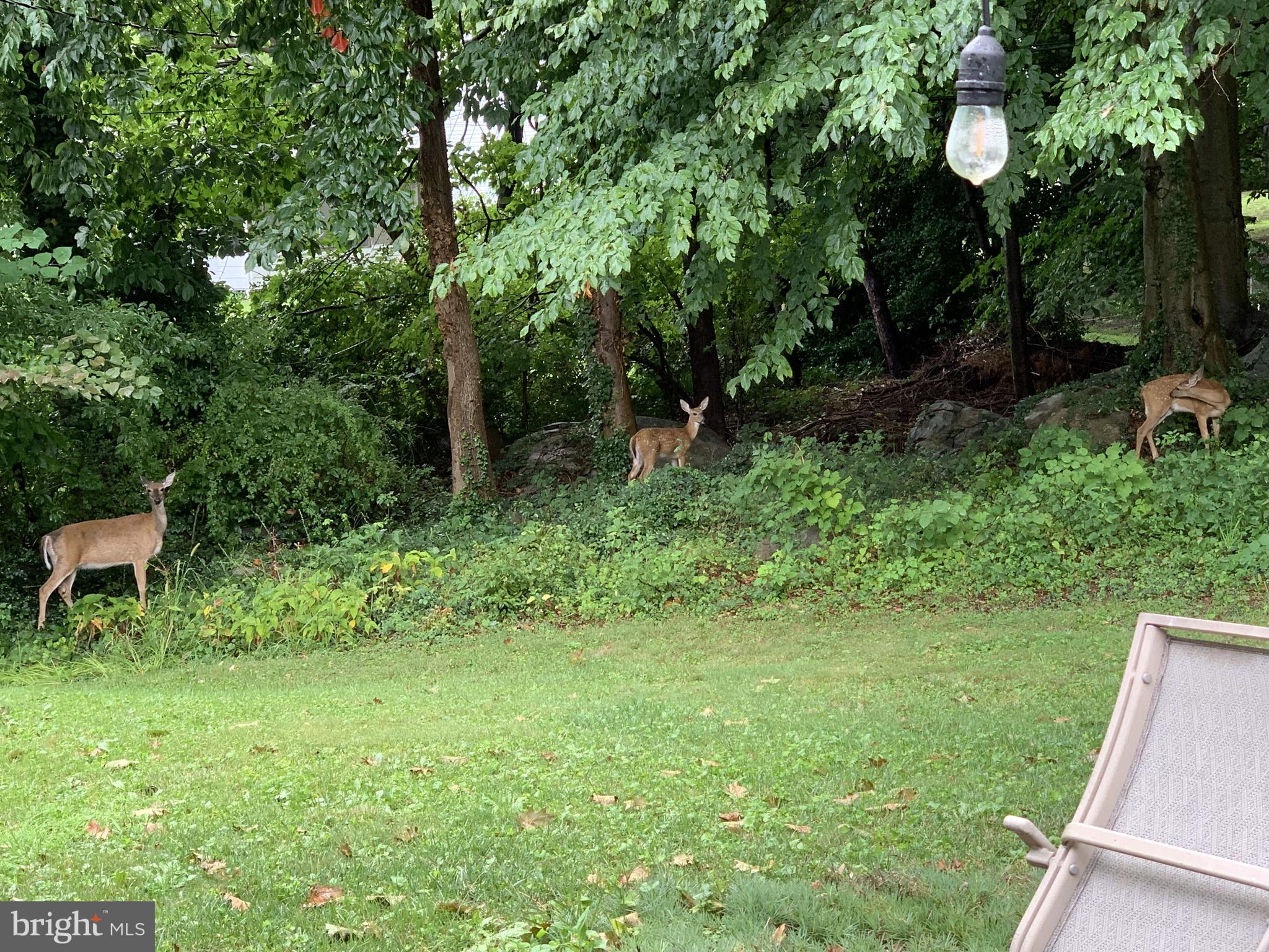 BRANDYWOOD - Residential