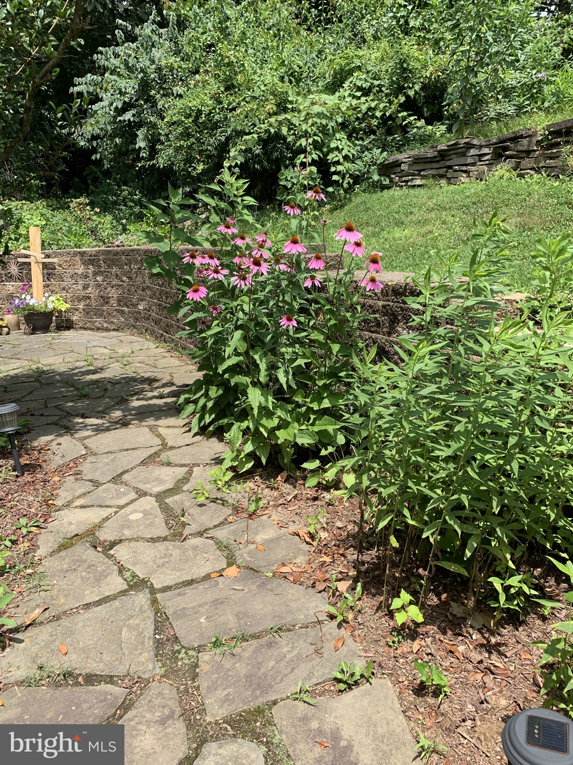 BRANDYWOOD - Residential