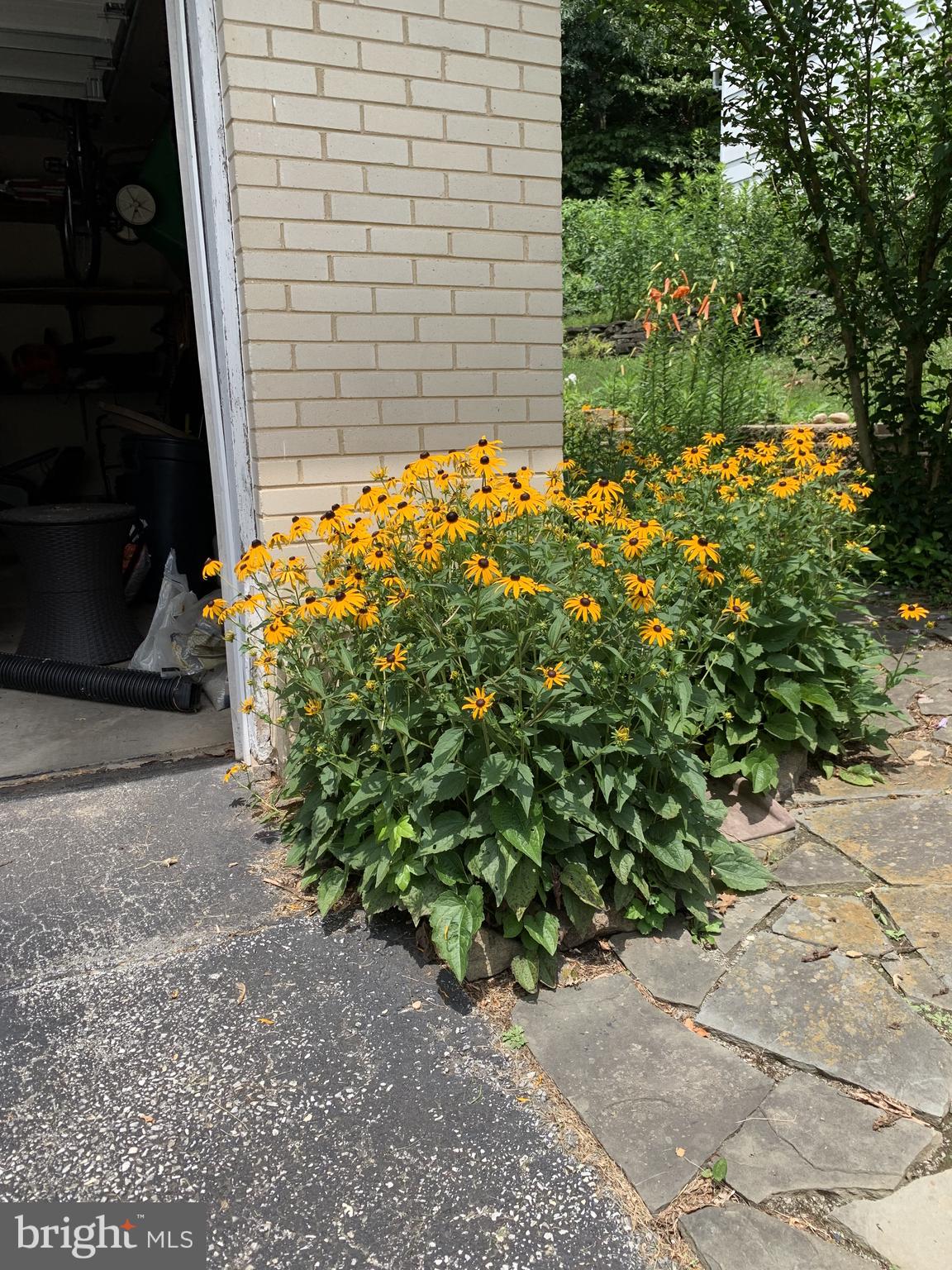 BRANDYWOOD - Residential