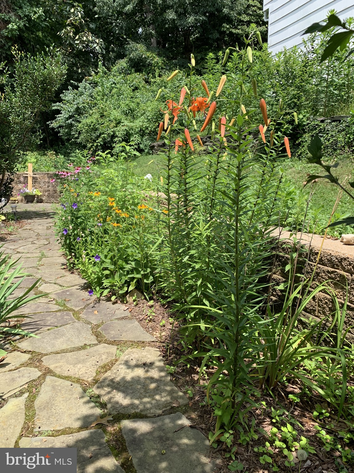 BRANDYWOOD - Residential