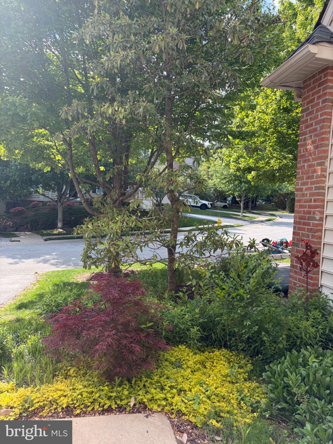 232 DEEPDALE DRIVE