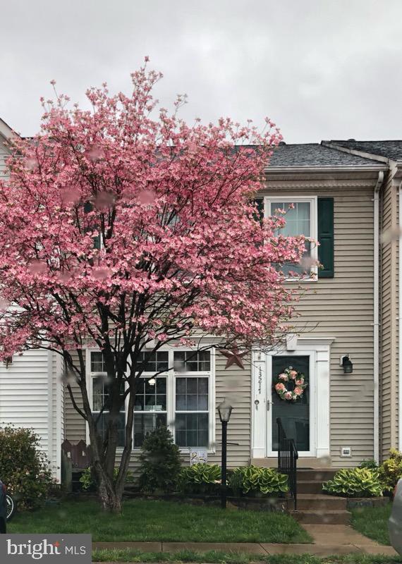 FOXBOROUGH - Residential