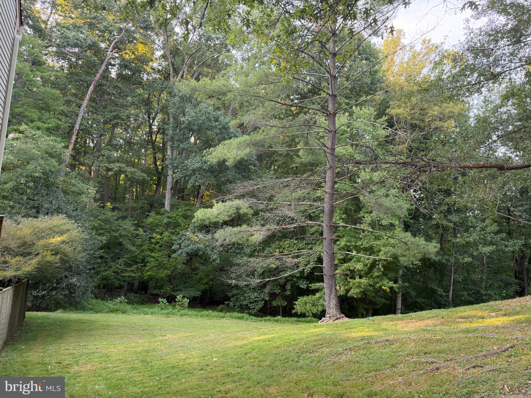 8110 CLIFFOREST DRIVE