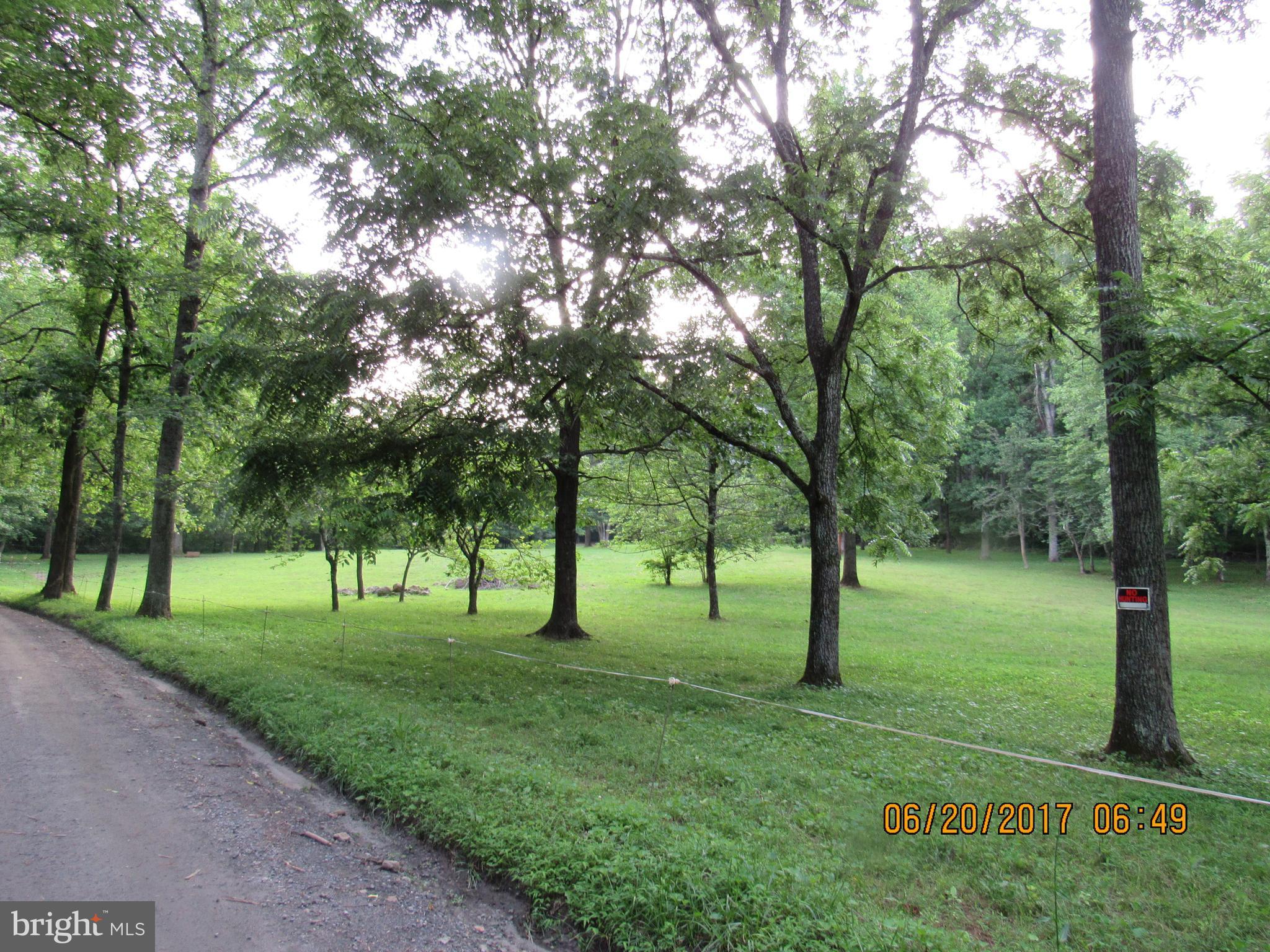 BULL YEARLING - Land