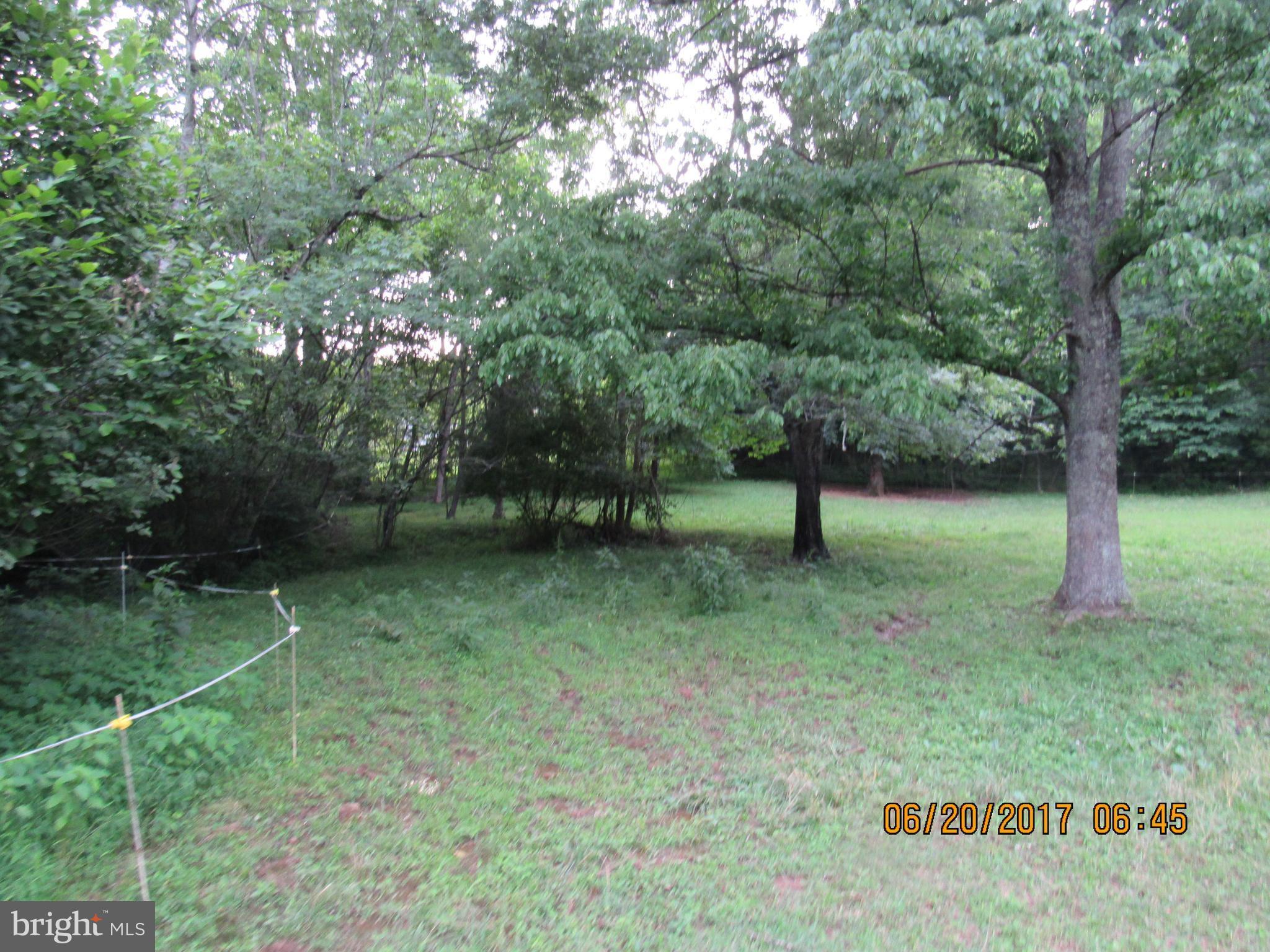 BULL YEARLING - Land