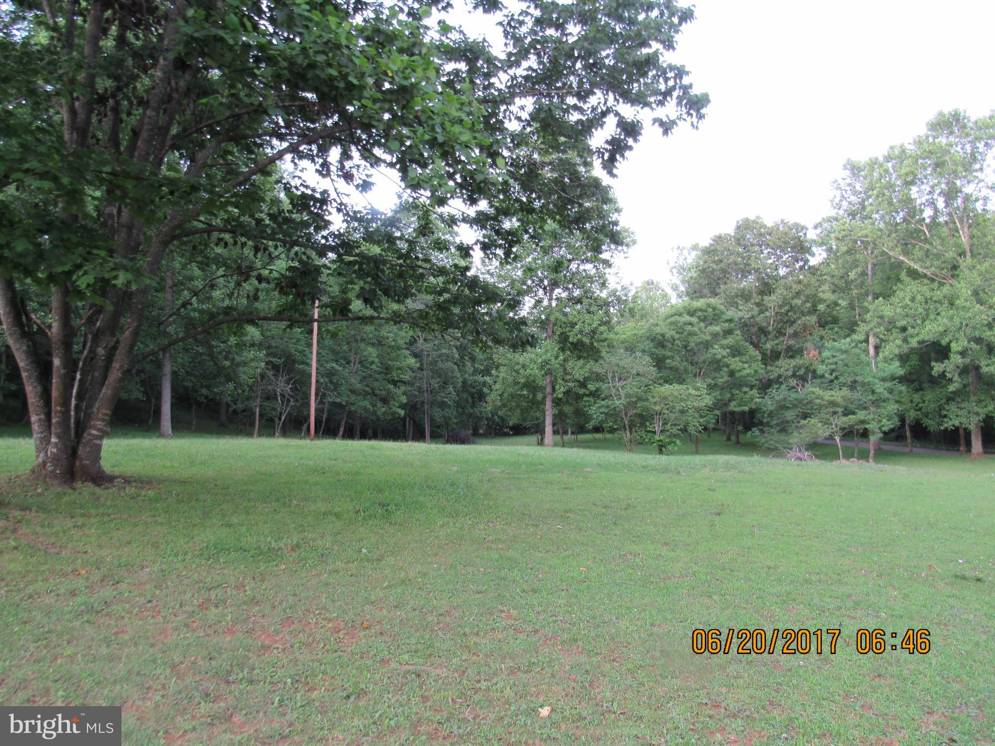 BULL YEARLING - Land