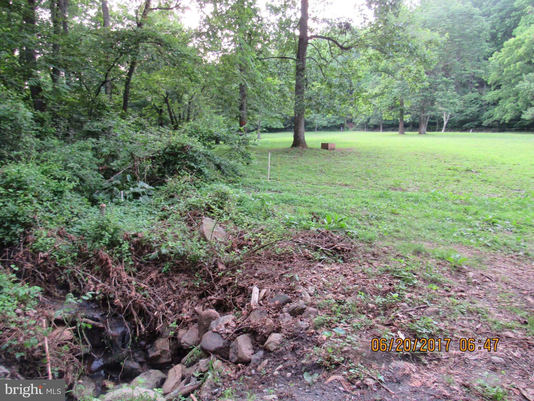 BULL YEARLING - Land