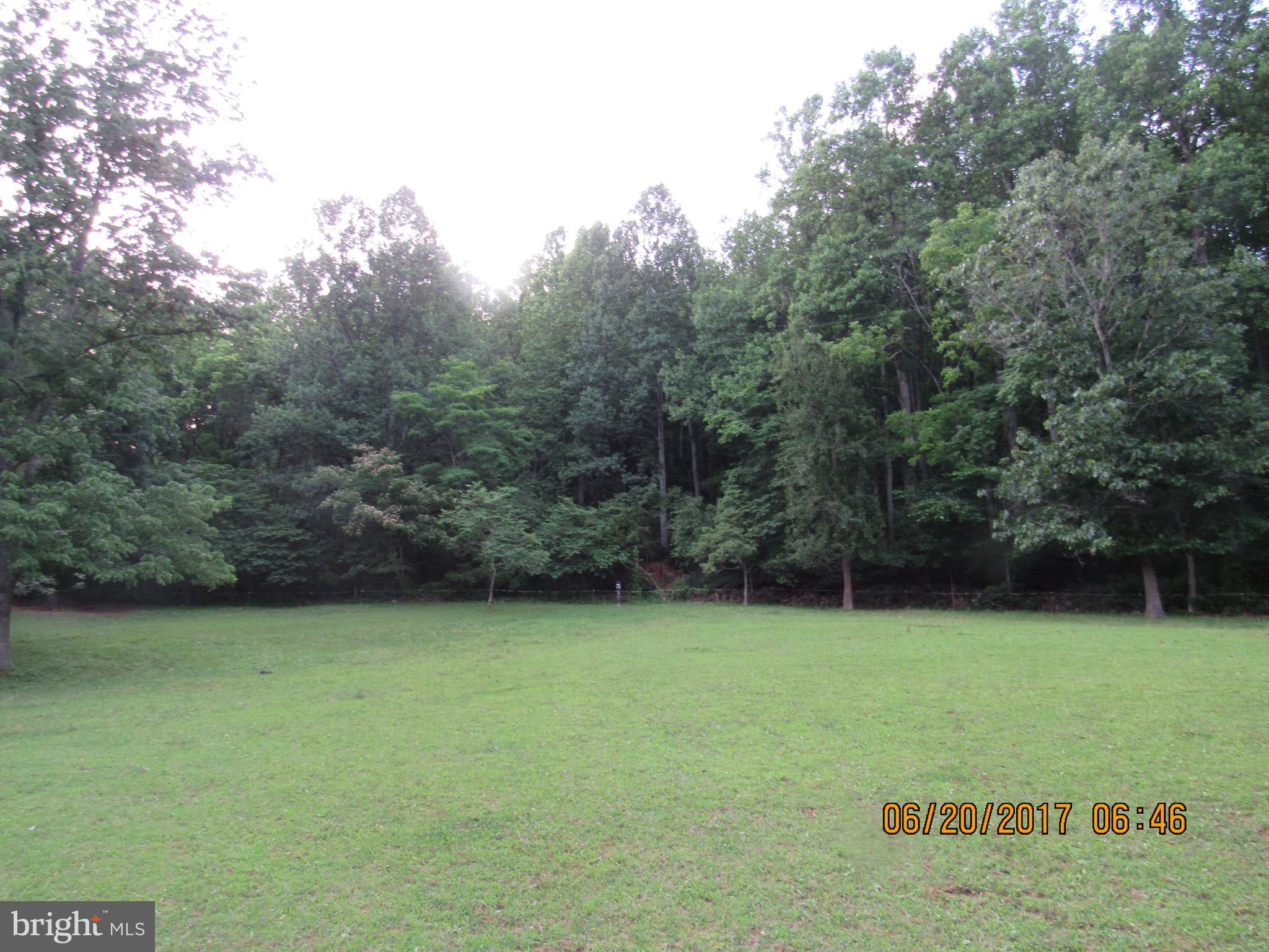 BULL YEARLING - Land