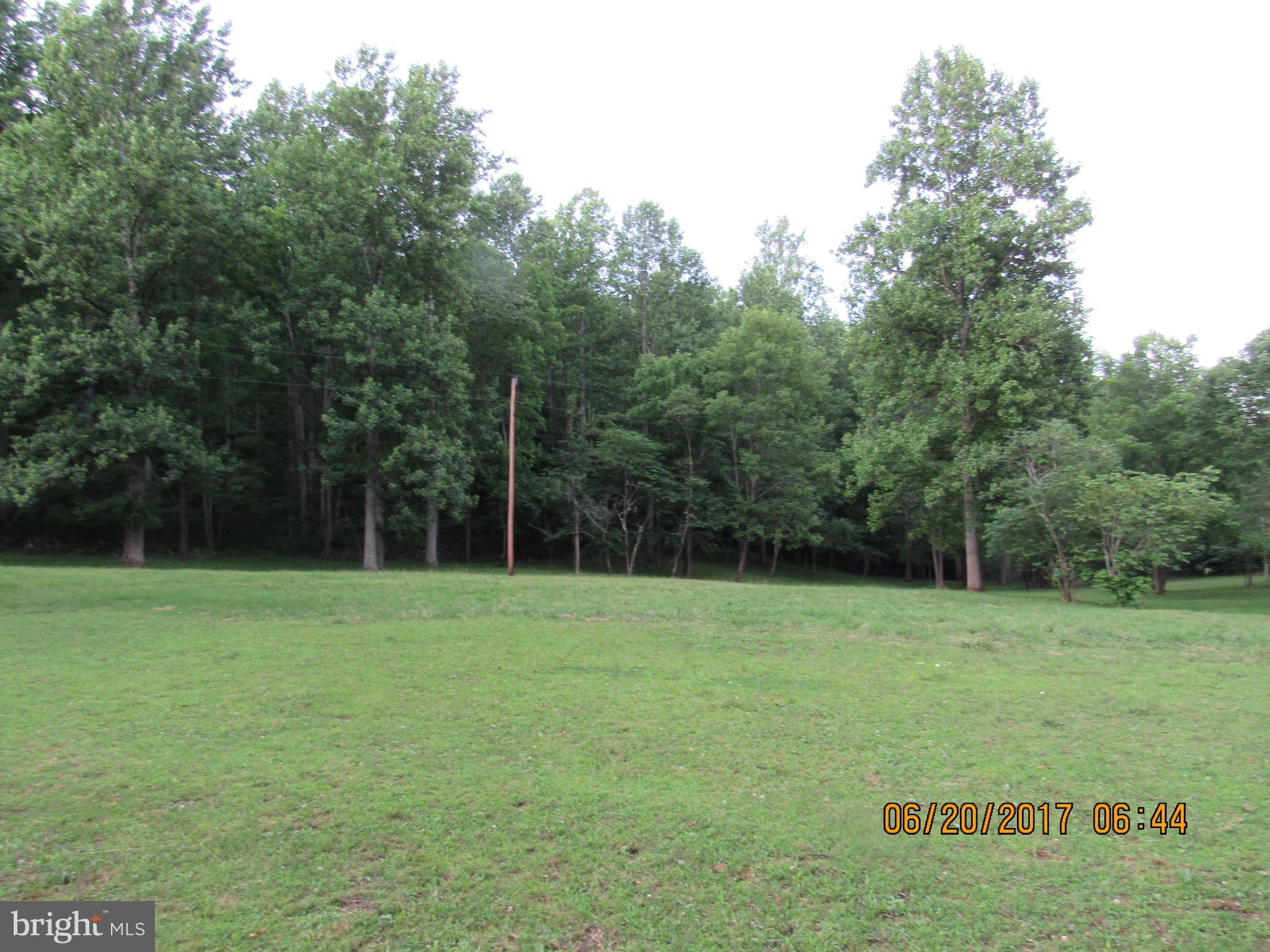 BULL YEARLING - Land