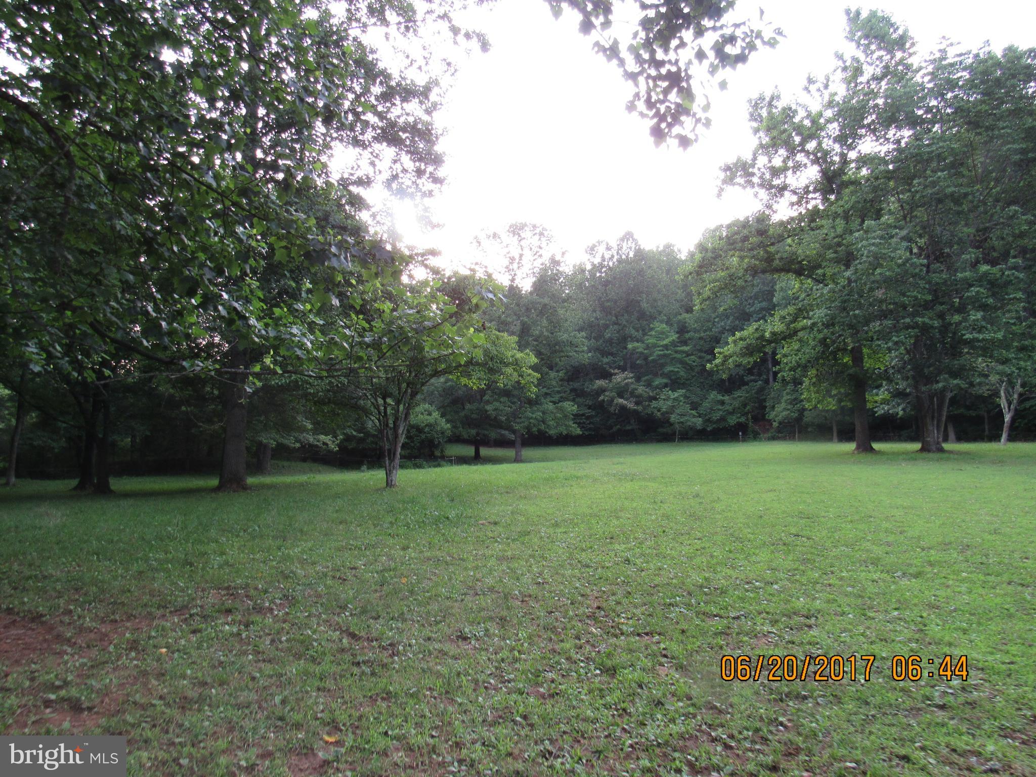 BULL YEARLING - Land