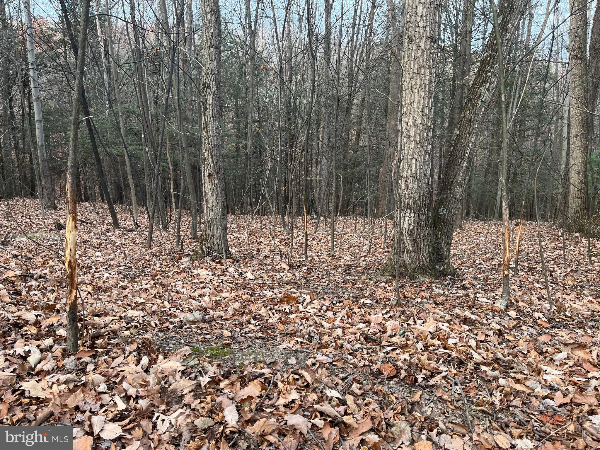 VALLEY VIEW ACRES - Residential