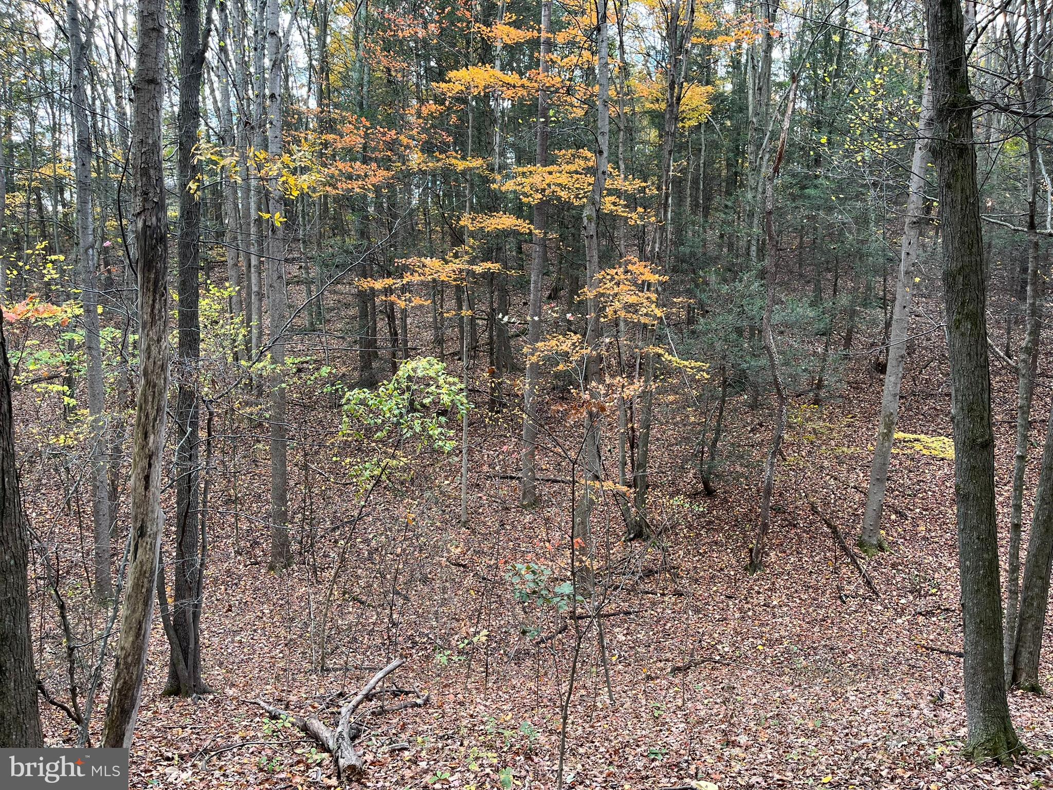 VALLEY VIEW ACRES - Residential