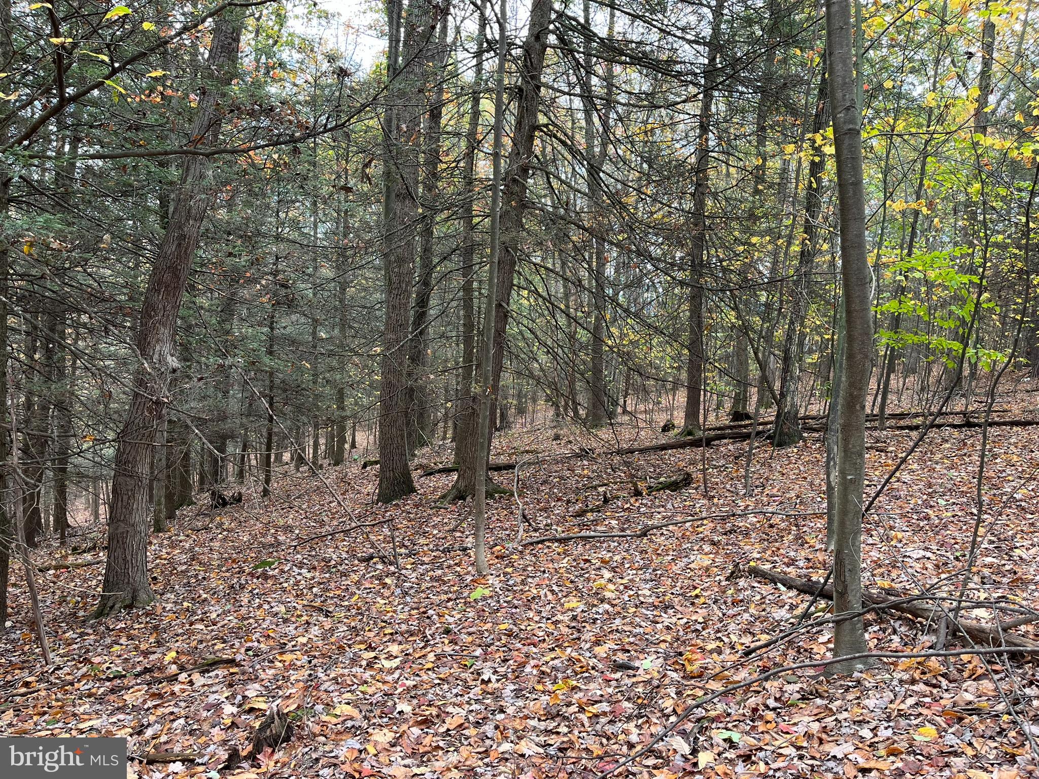 VALLEY VIEW ACRES - Residential