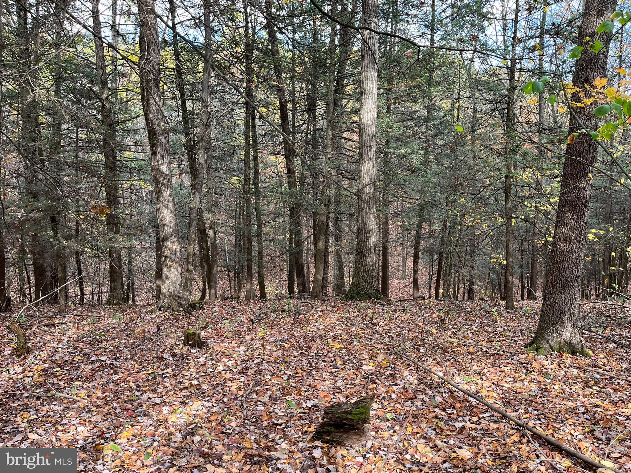 VALLEY VIEW ACRES - Residential