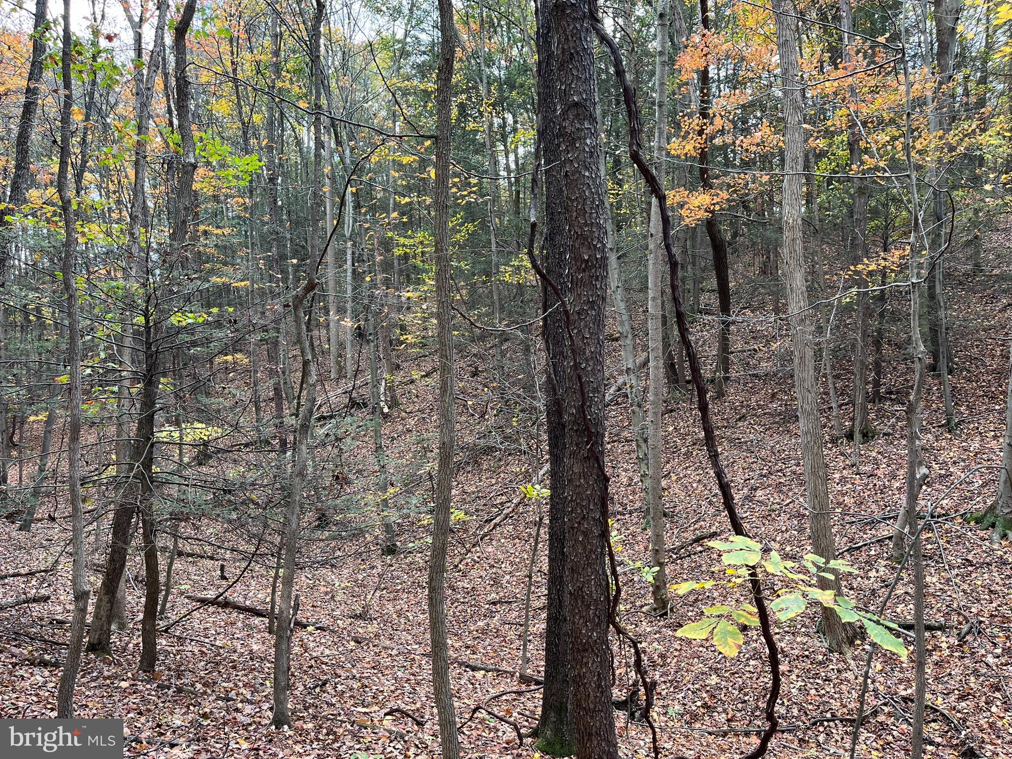 VALLEY VIEW ACRES - Residential