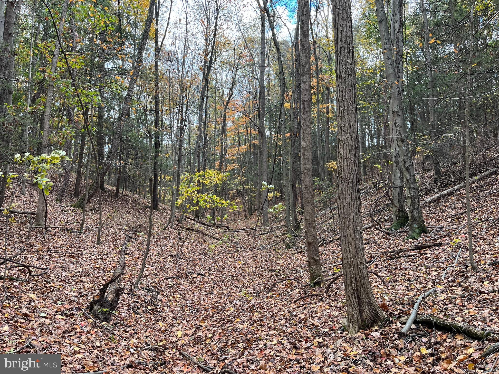 VALLEY VIEW ACRES - Residential