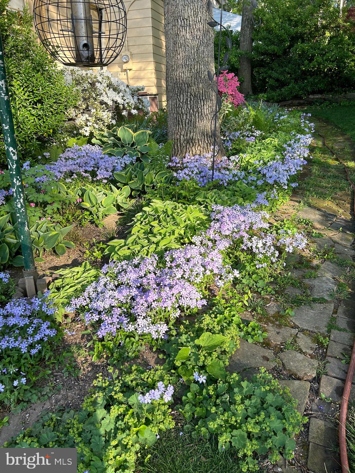 LEADER HEIGHTS - Residential