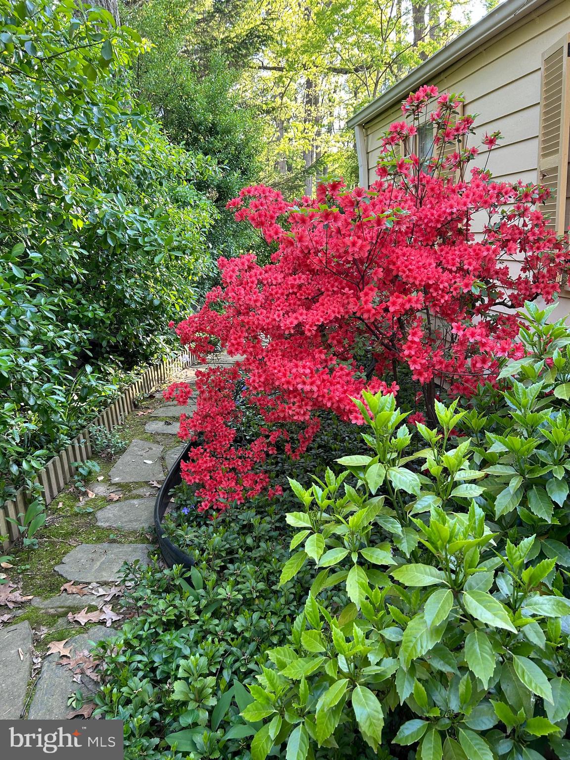 LEADER HEIGHTS - Residential