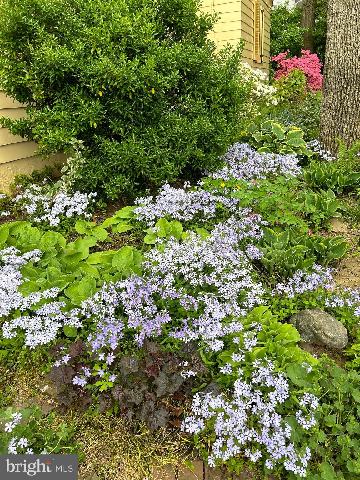 LEADER HEIGHTS - Residential