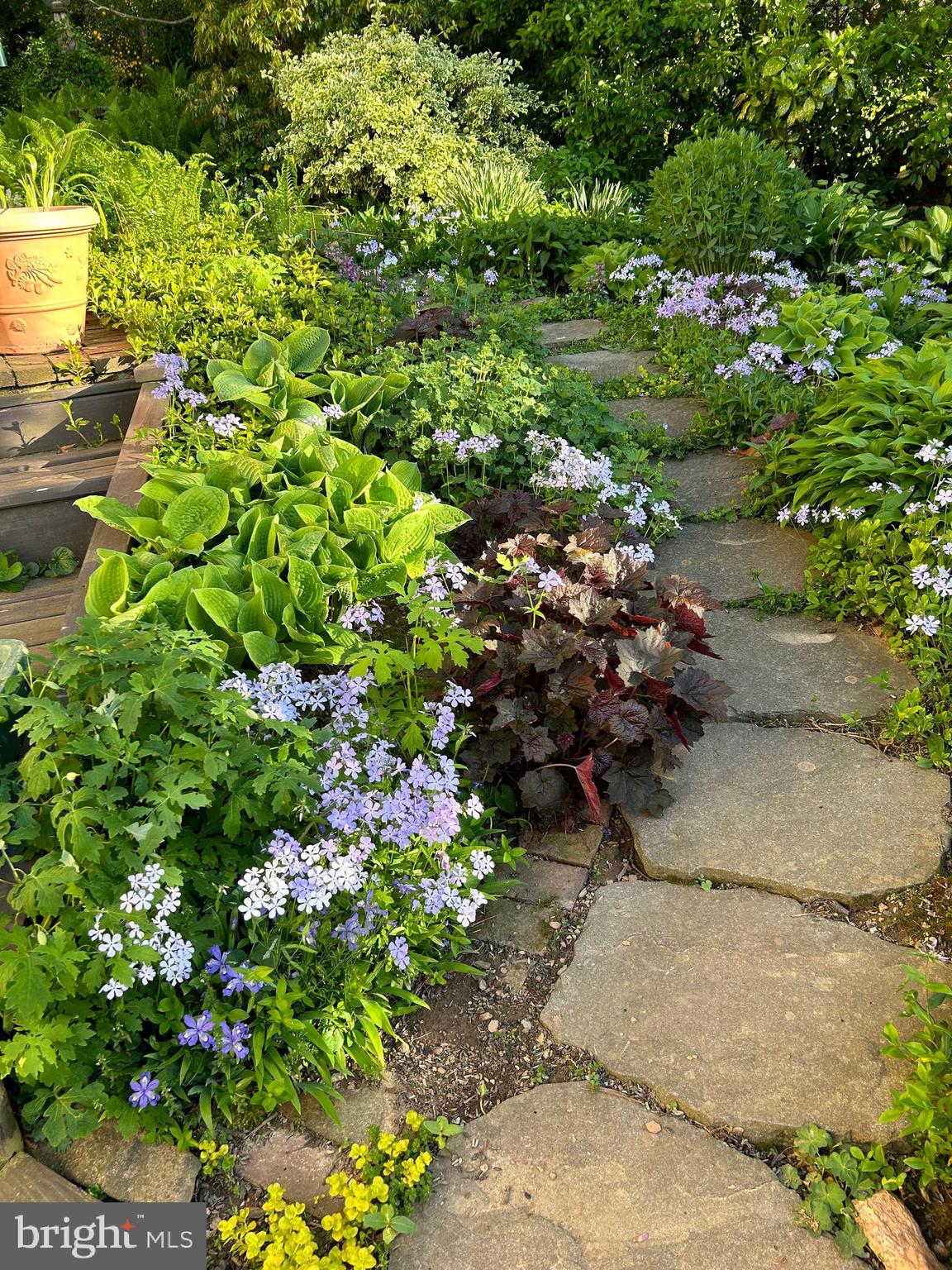 LEADER HEIGHTS - Residential