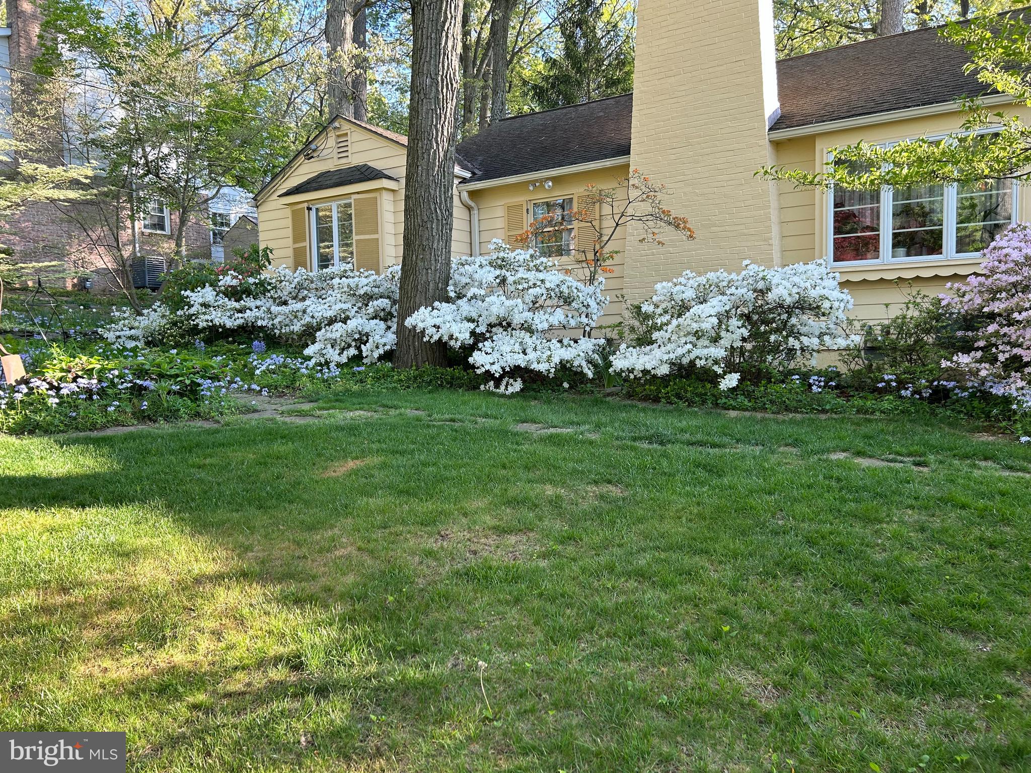 LEADER HEIGHTS - Residential