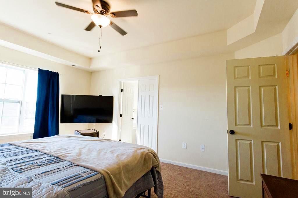 ELIZABETH HILLS - Residential