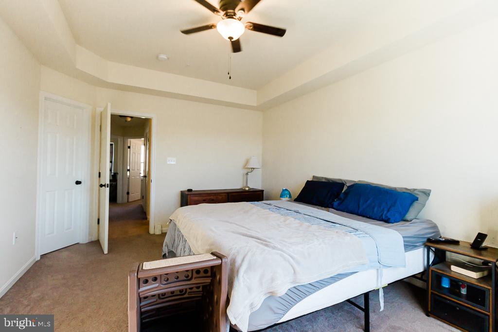 ELIZABETH HILLS - Residential