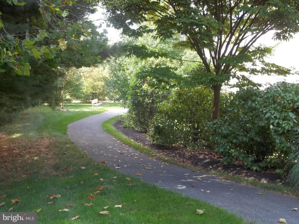 WILLOW BEND FARM - Residential