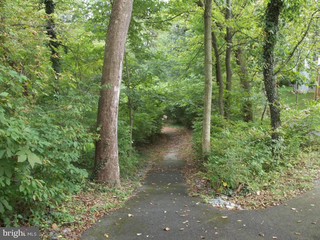 WILLOW BEND FARM - Residential