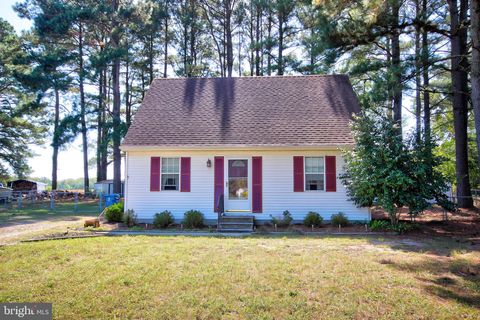 29695 RINGNECK PLACE SALISBURY MD 21804