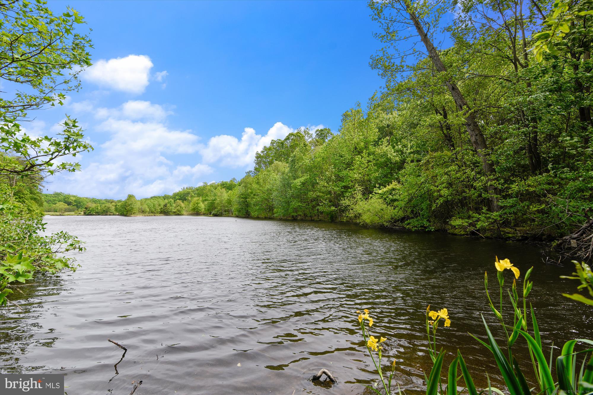 CROSSPOINTE - Residential