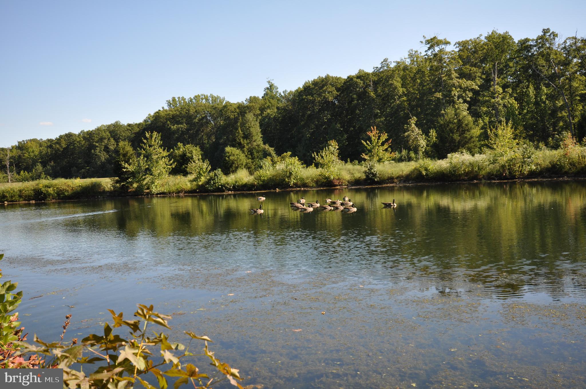 CROSSPOINTE - Residential