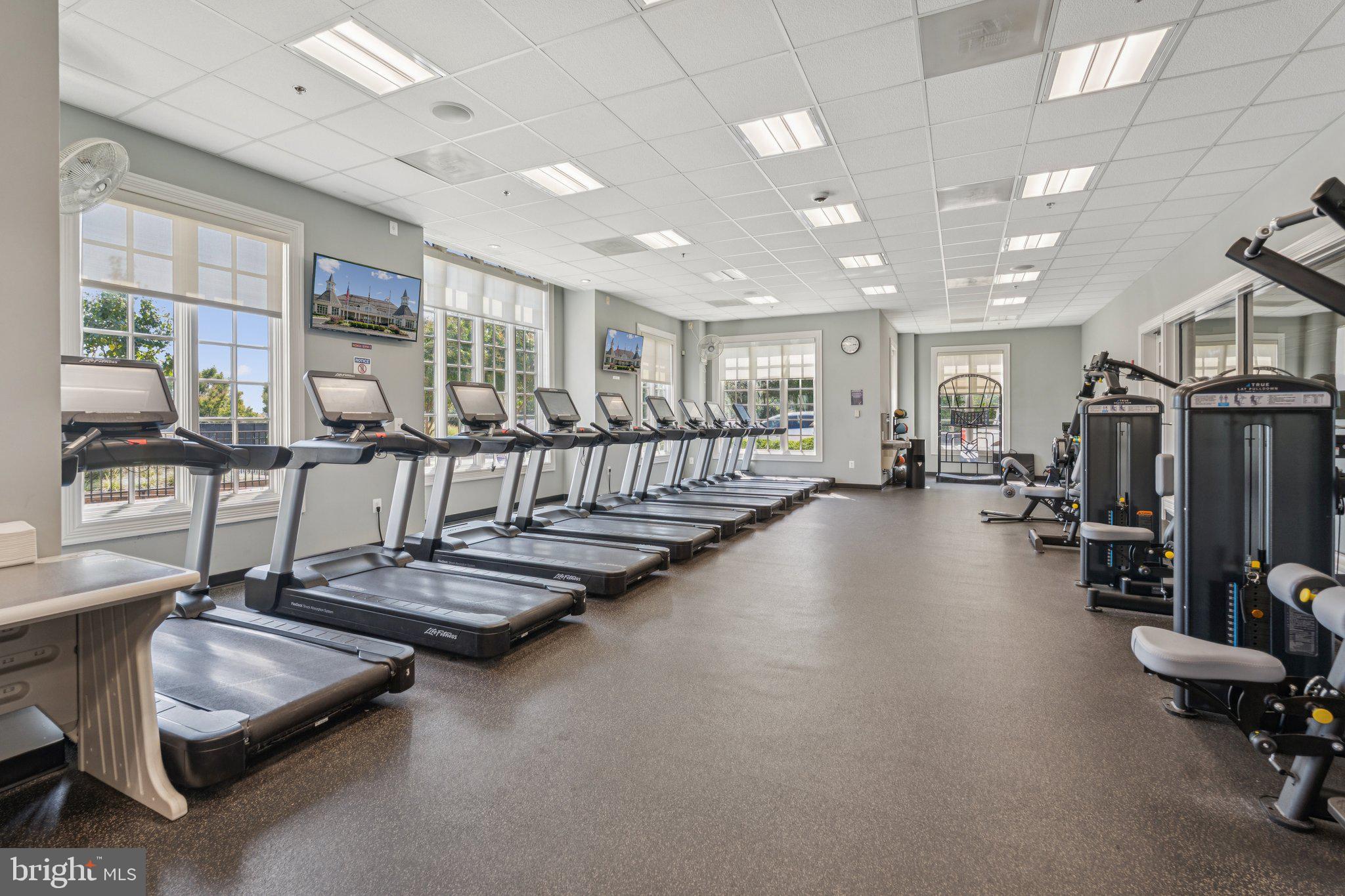 BULLE ROCK - Residential