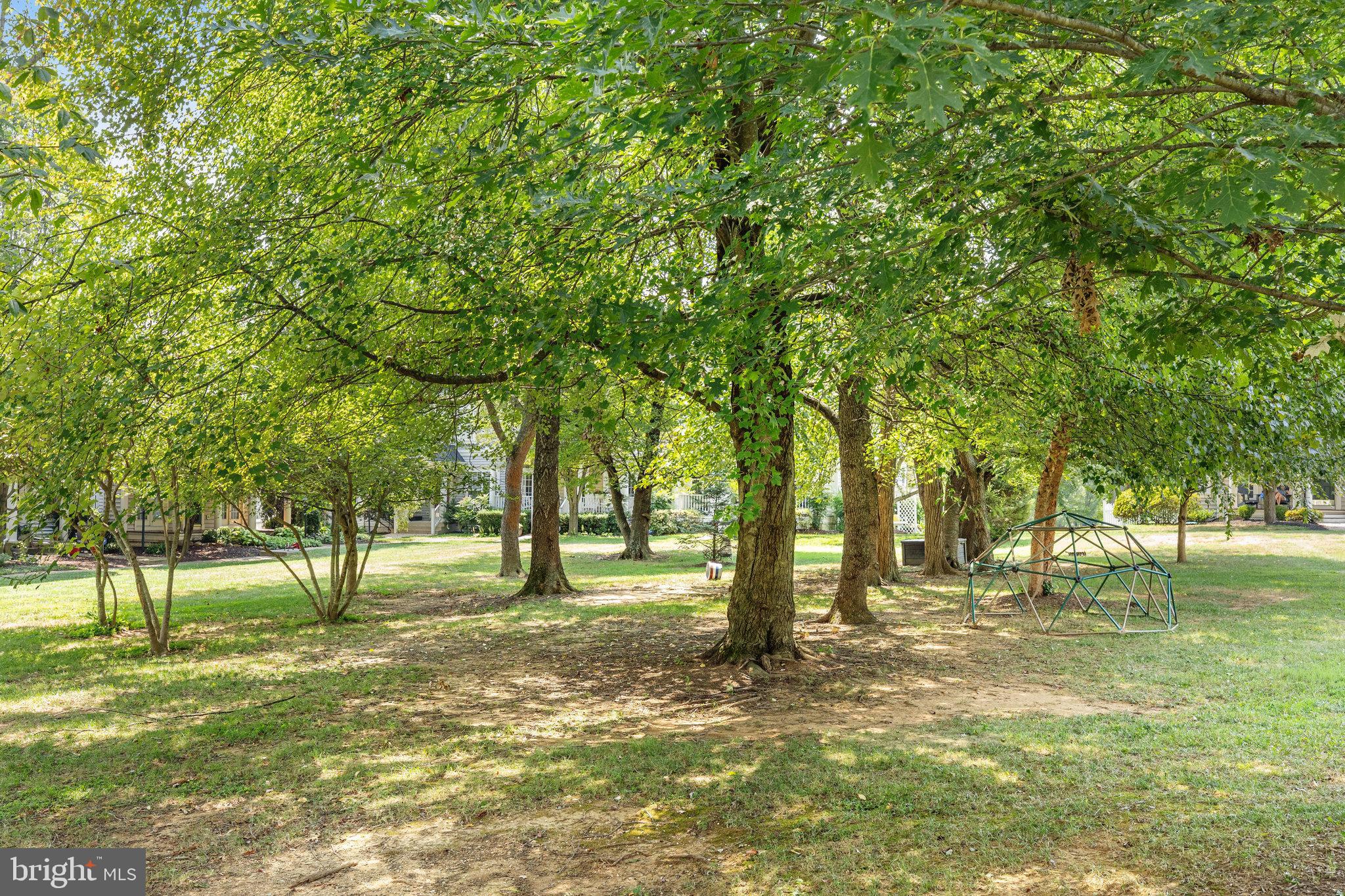 CORTLAND SQUARE - Residential