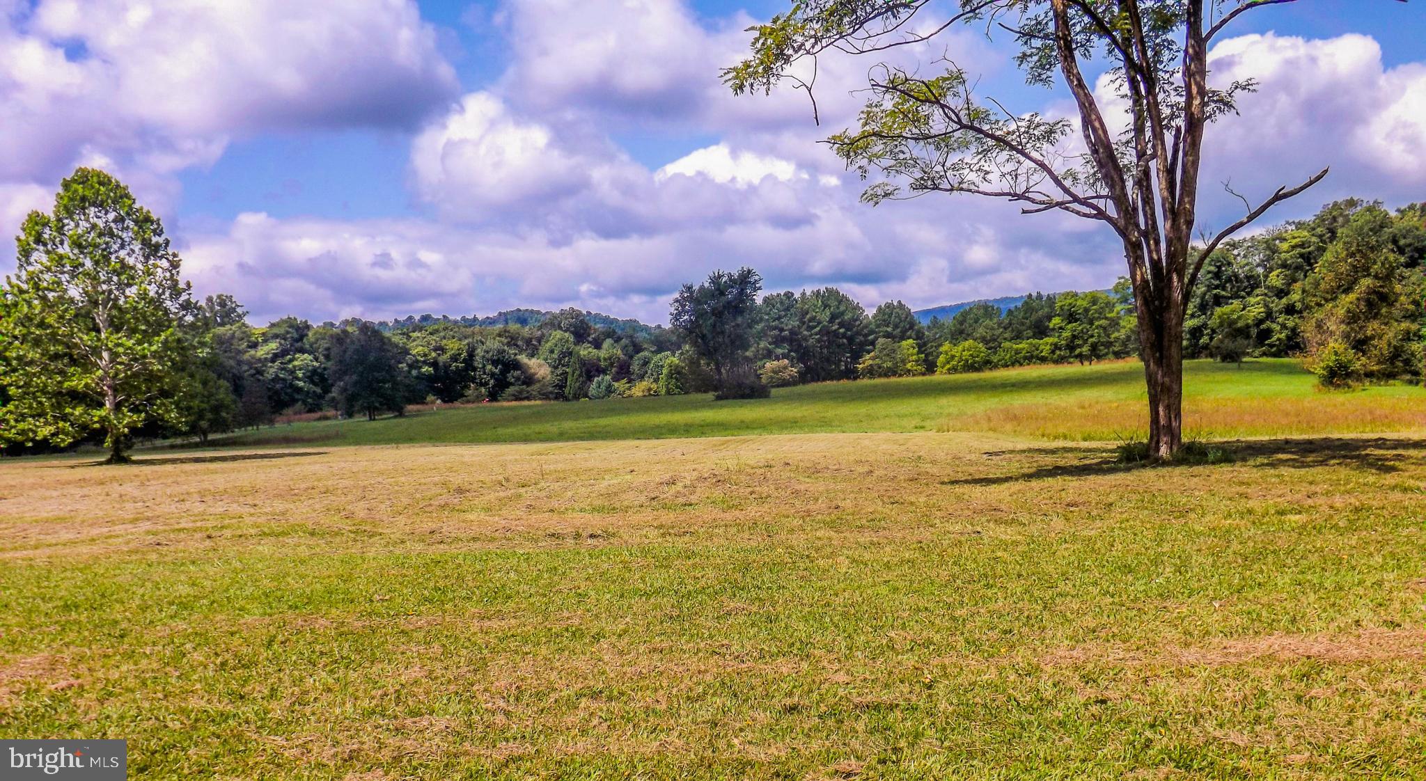 CACAPON RIVER MEADOWS - Residential