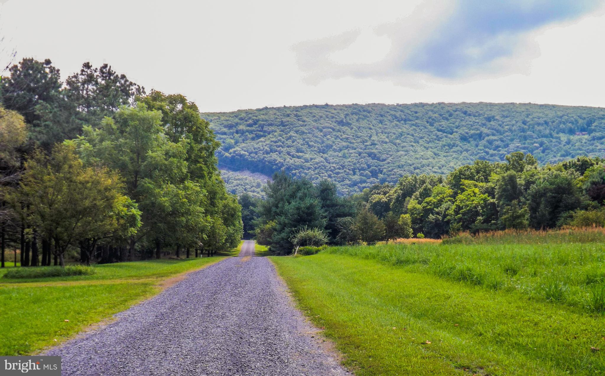 CACAPON RIVER MEADOWS - Residential